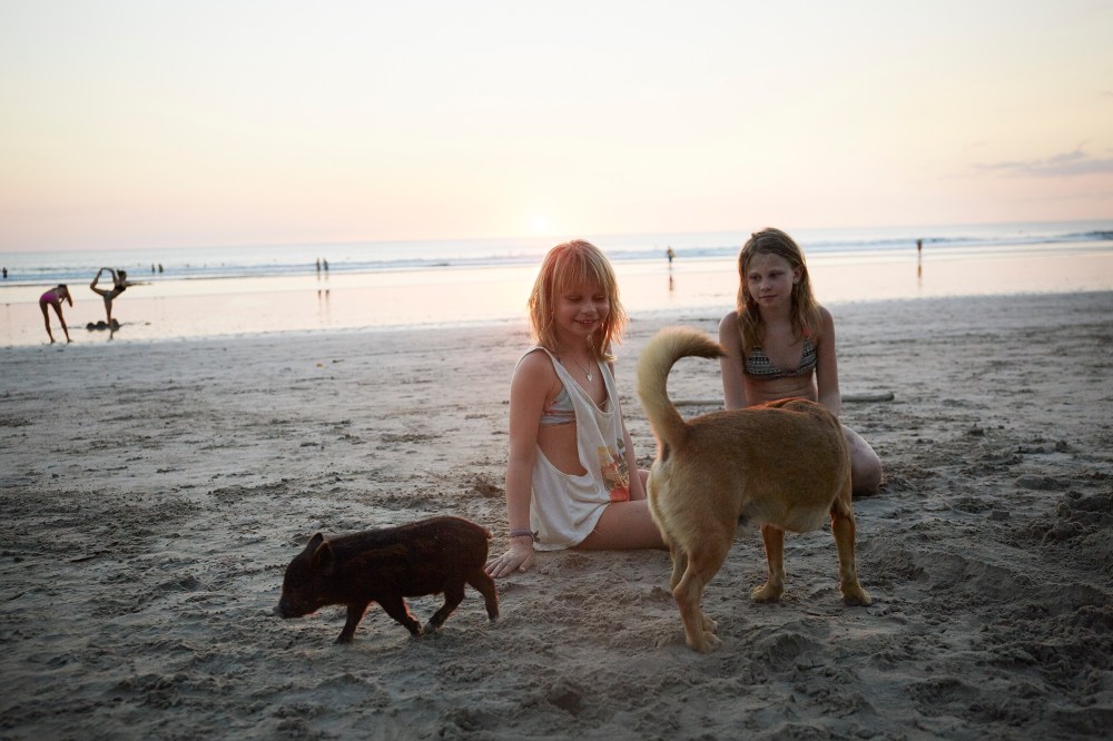 wagtailgirlsannakern_