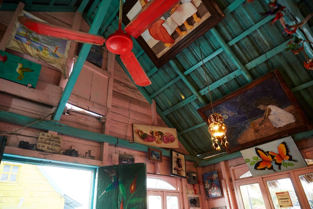 wagtailgirlsannakern_06A0169 1