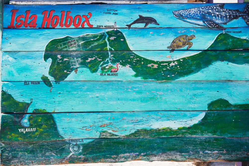 wagtailgirlsannakern_06A0853