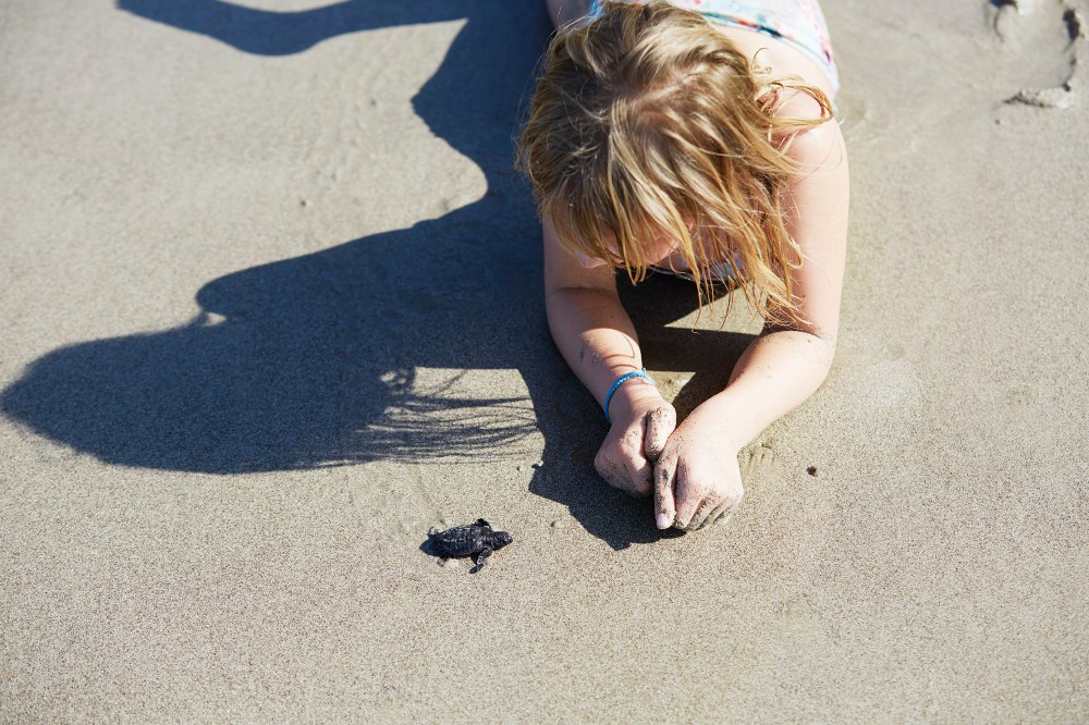 wagtailgirlsannakern_06A1001