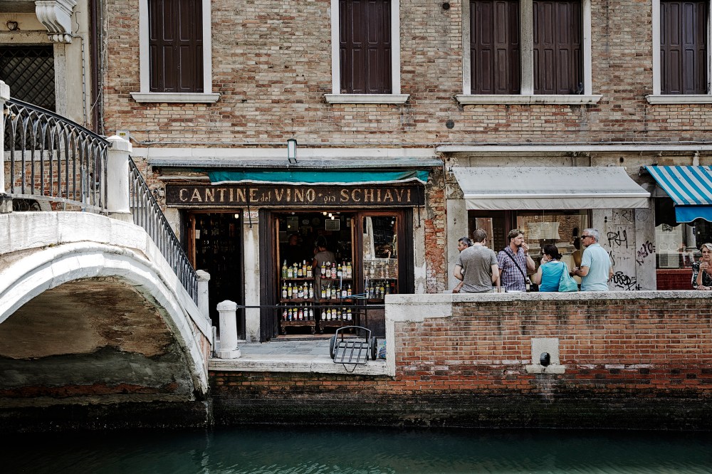 wagtailgirlsannakern_06A1309