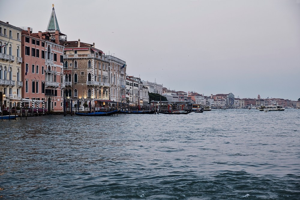 wagtailgirlsannakern_06A1737