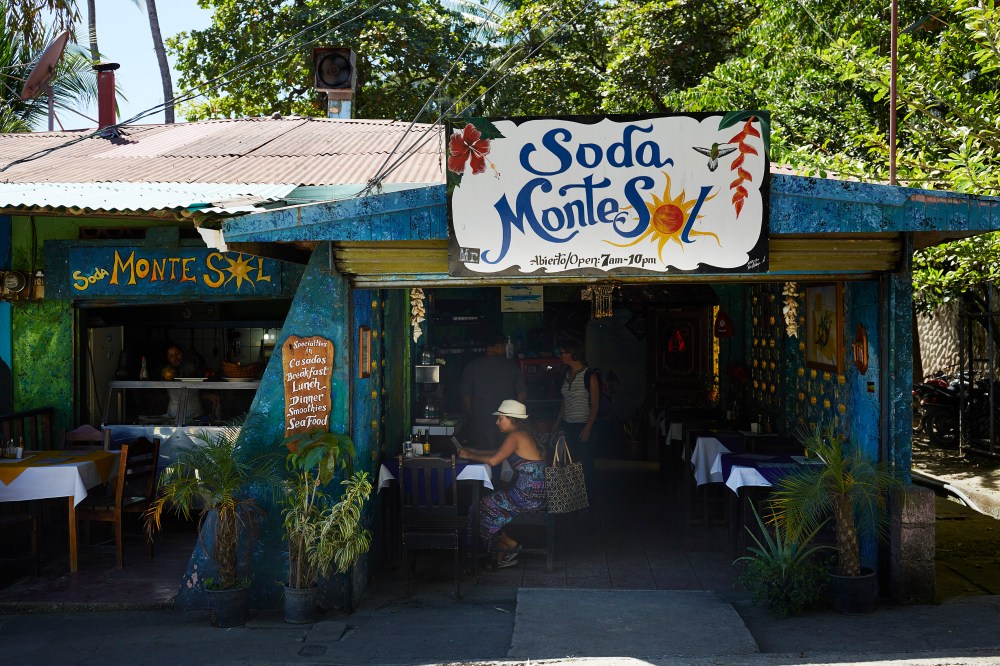 wagtailgirlsannakern_06A1961