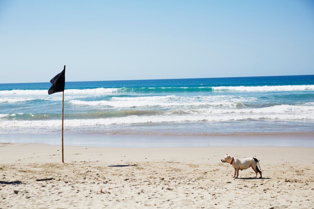 wagtailgirlsannakern_06A2147