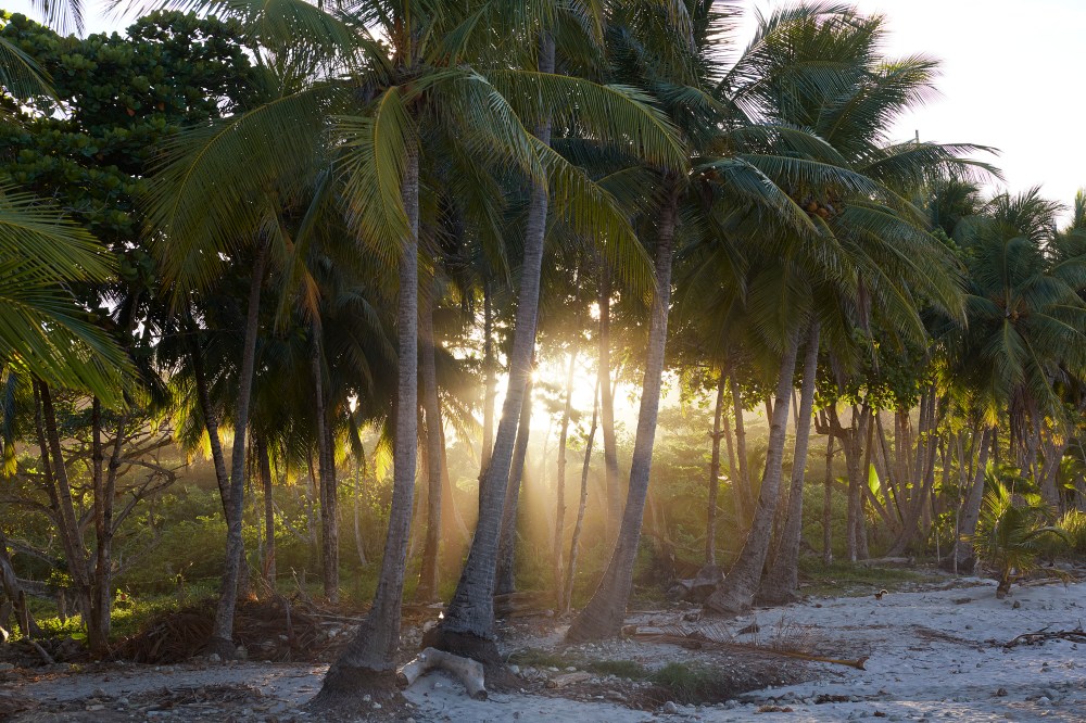 wagtailgirlsannakern_06A2399