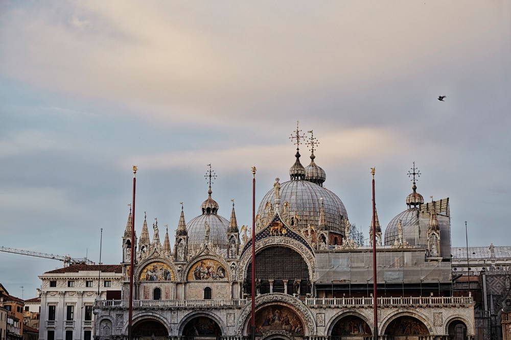 wagtailgirlsannakern_06A2415