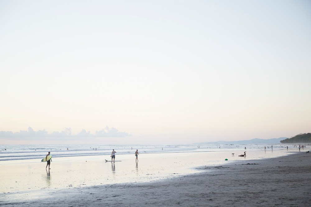 wagtailgirlsannakern_06A2600