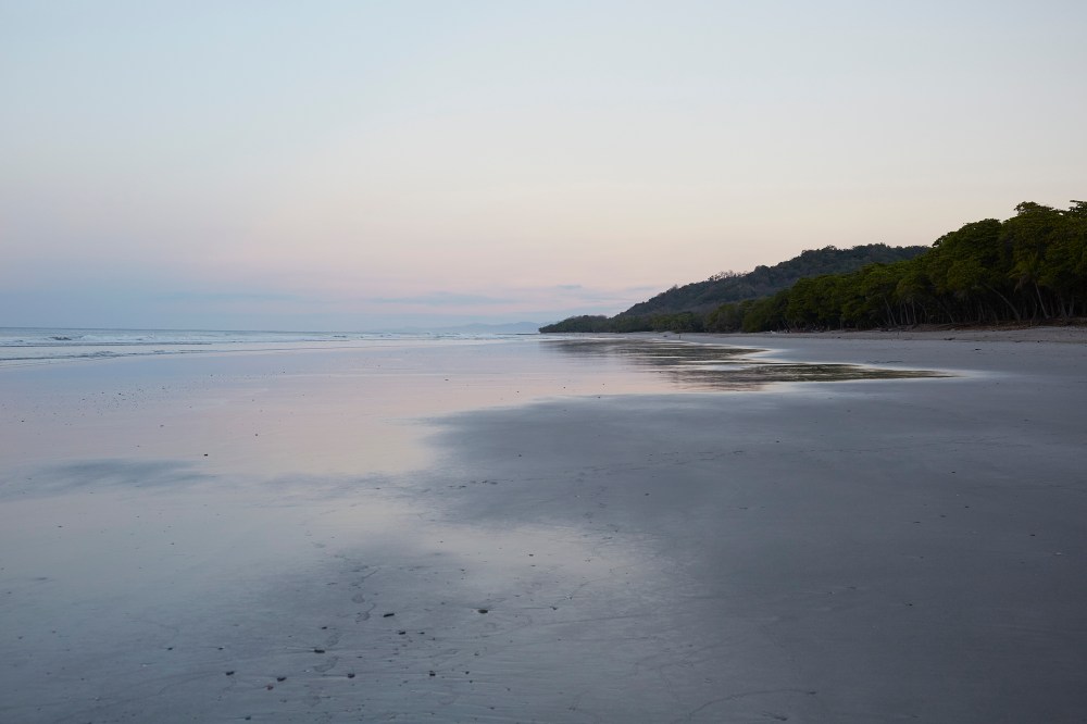 wagtailgirlsannakern_06A2622