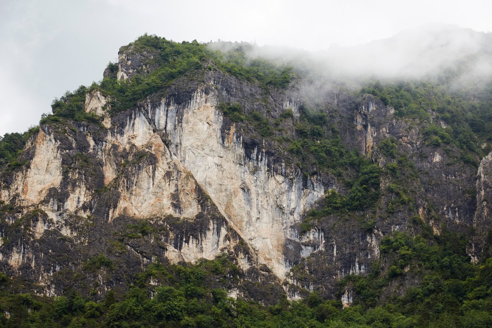 wagtailgirlsannakern_06A2884