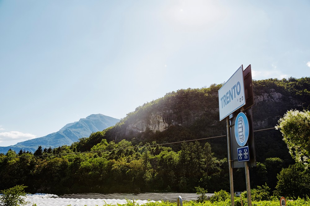 wagtailgirlsannakern_06A3274