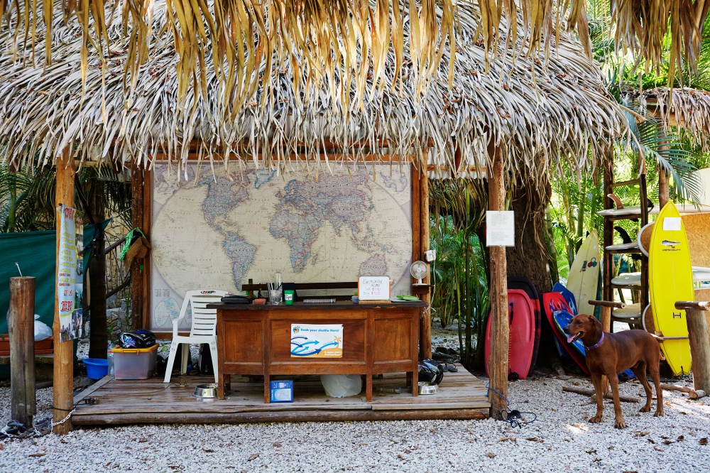 wagtailgirlsannakern_06A9541