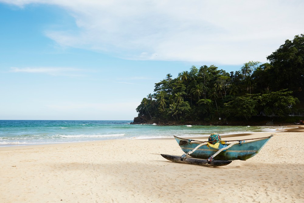 wagtailgirlsannakern_