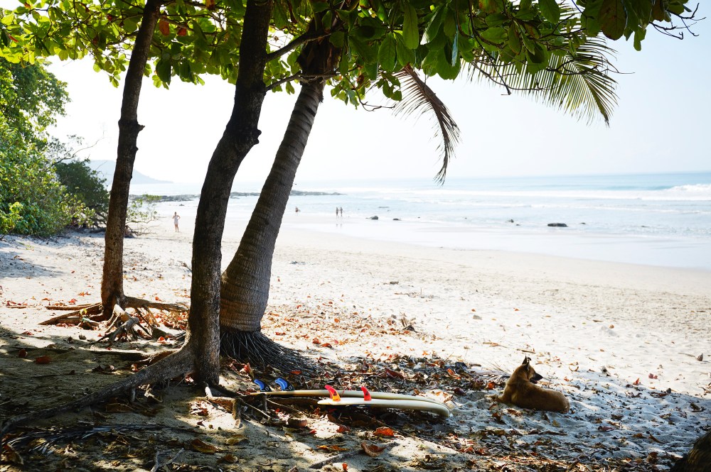 wagtailgirlsannakern__06A0285