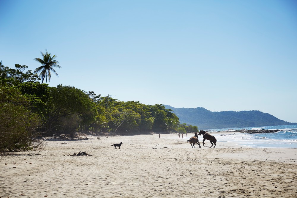 wagtailgirlsannakern__06A2150