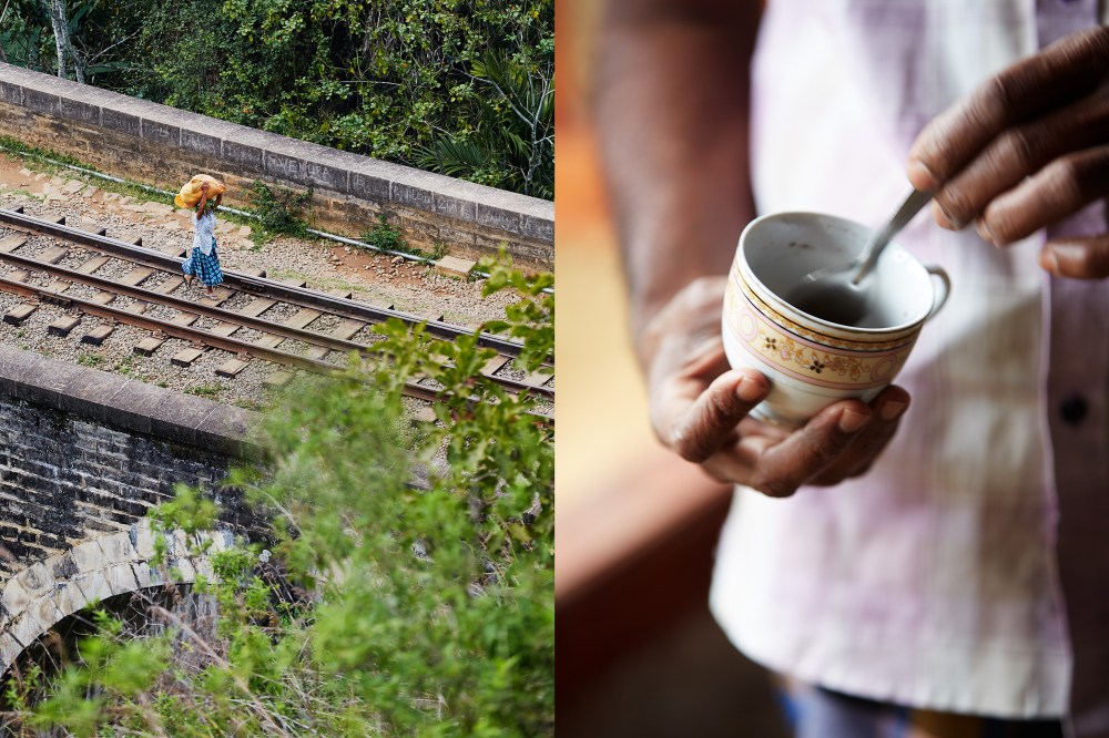 wagtailgirlsannakern__med