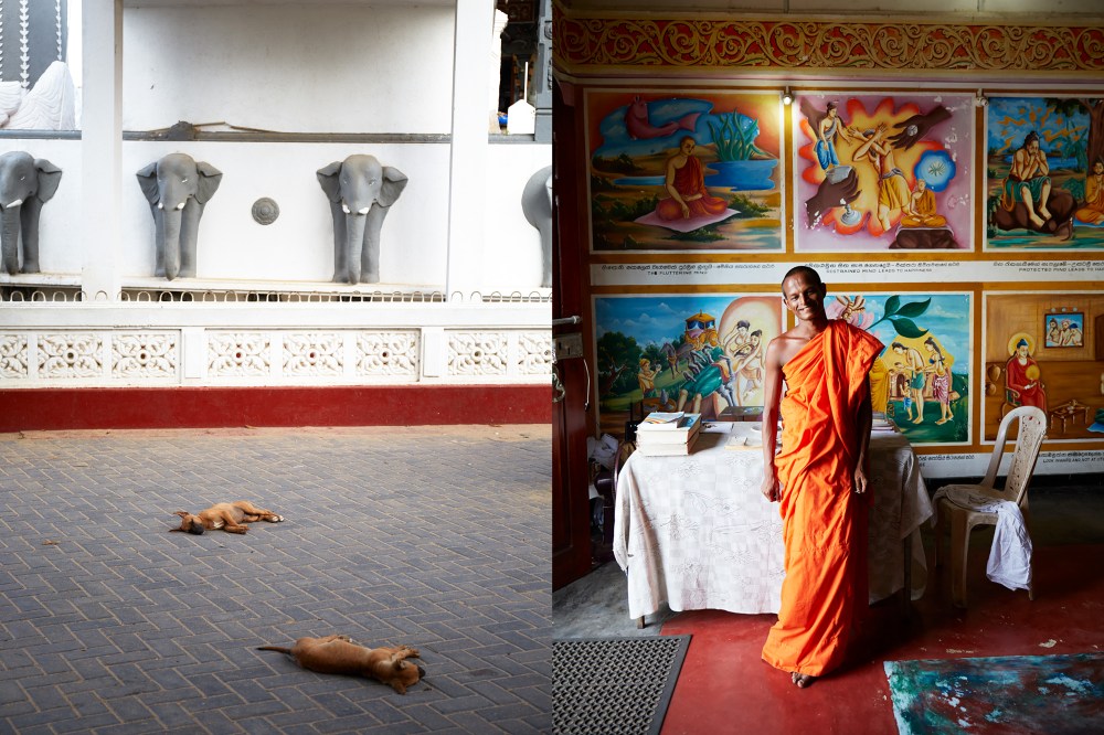 wagtailgirlsannakern__munk