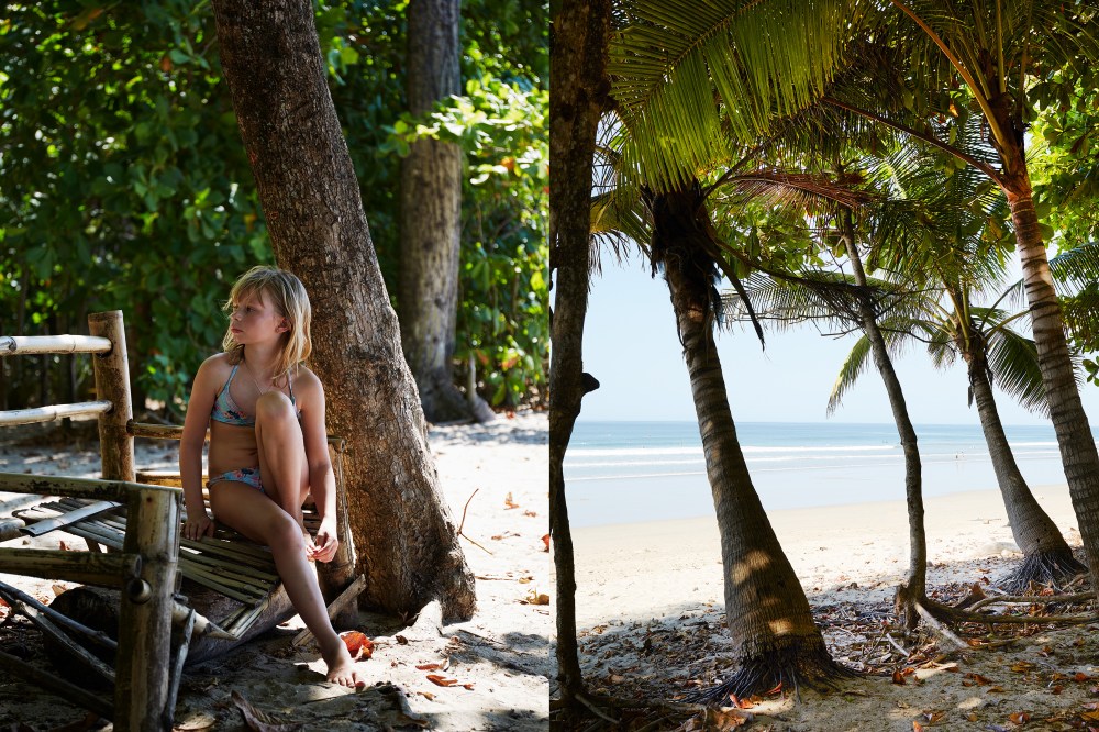 wagtailgirlsannakern__palms