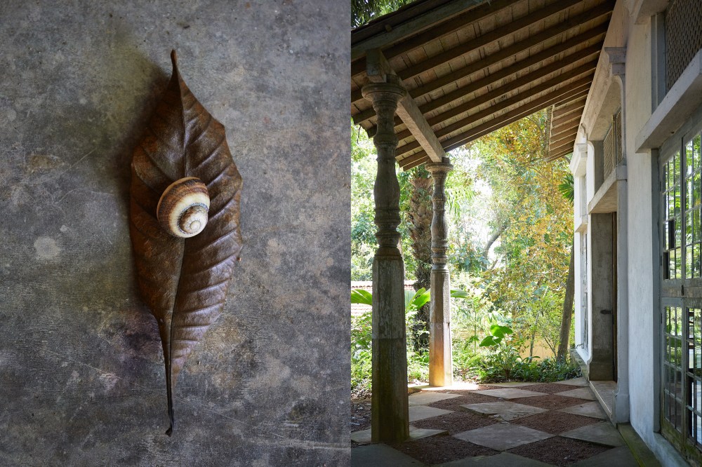 wagtailgirlsannakern_arkitekthus3