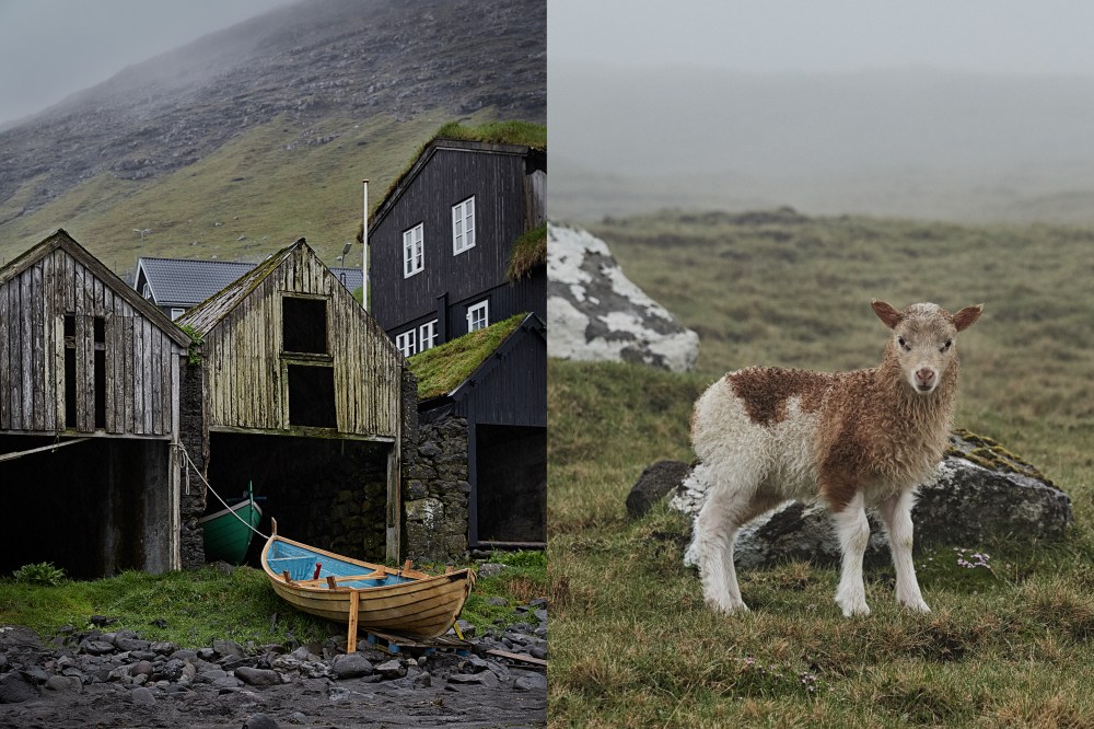 wagtailgirlsannakern_boer