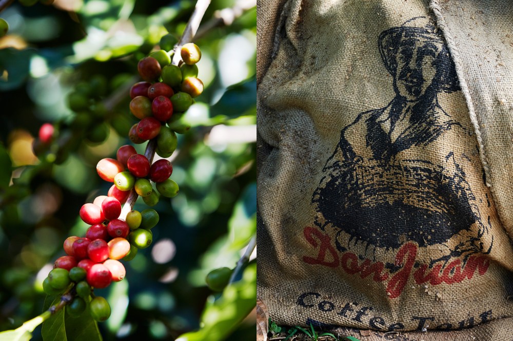 wagtailgirlsannakern_coffee