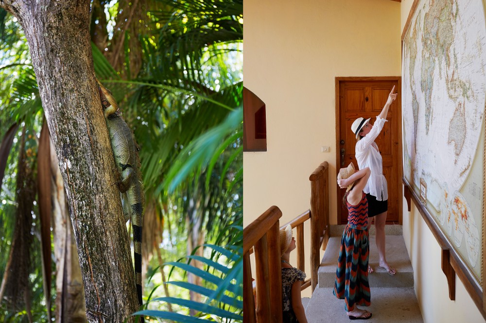 wagtailgirlsannakern_explore