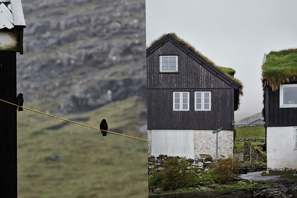 wagtailgirlsannakern_house