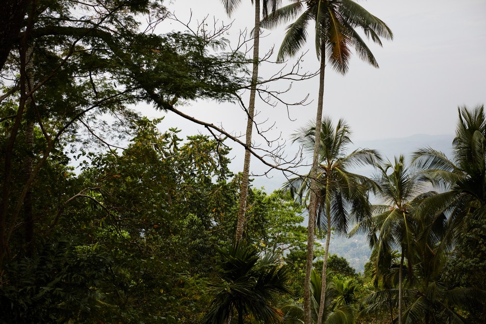 wagtailgirlsannakern_I06A2843