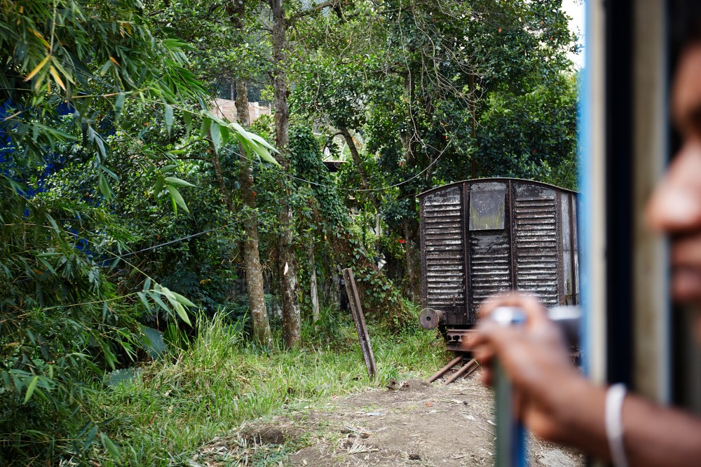 wagtailgirlsannakern_I06A2849