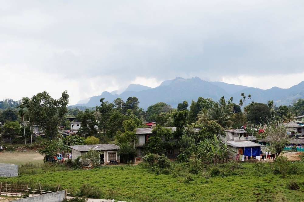 wagtailgirlsannakern_I06A2952