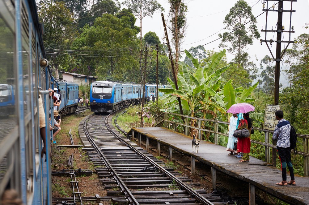 wagtailgirlsannakern_I06A3007