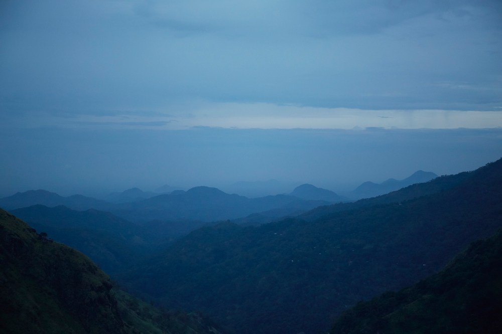 wagtailgirlsannakern_I06A3060