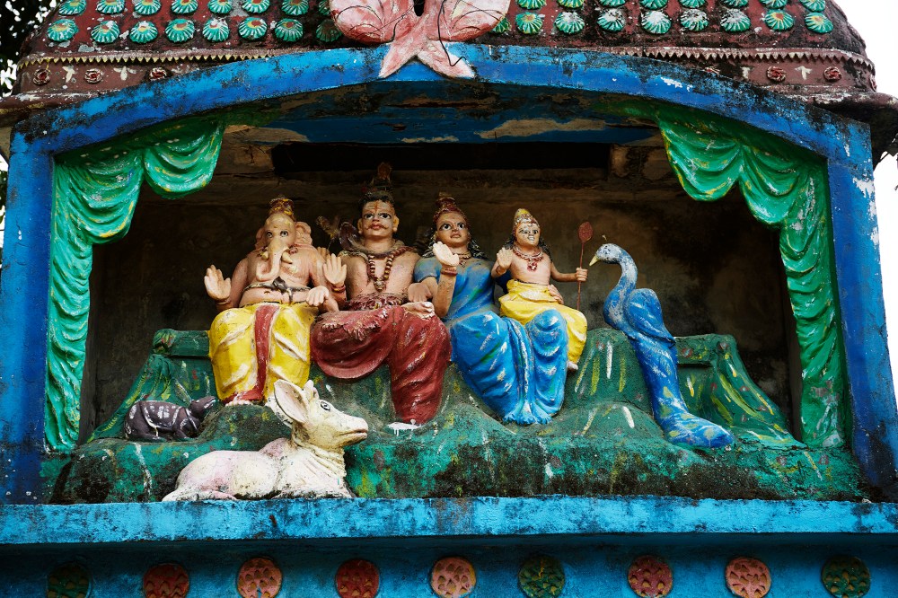 wagtailgirlsannakern_I06A3223