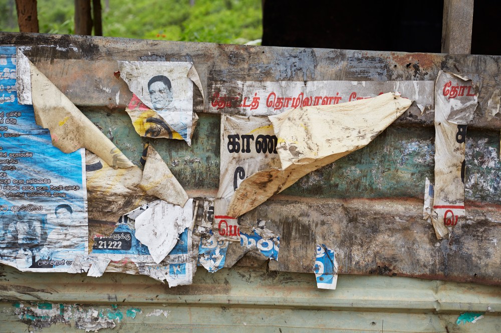 wagtailgirlsannakern_I06A3229