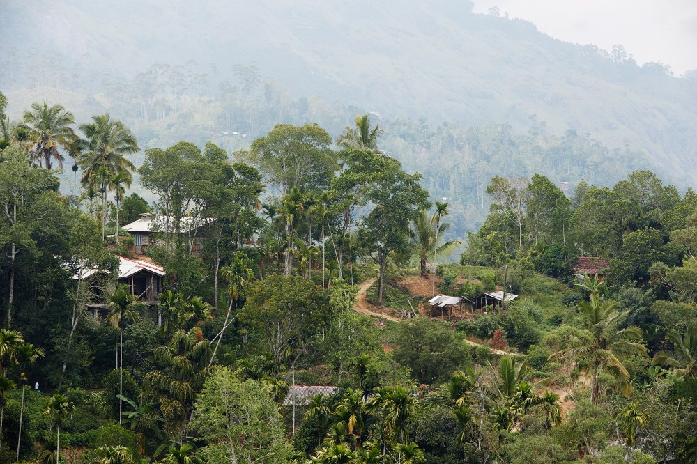 wagtailgirlsannakern_I06A3385