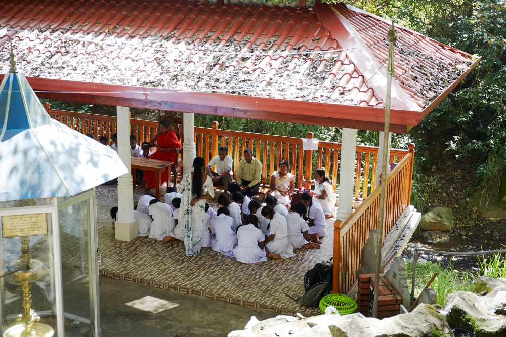 wagtailgirlsannakern_I06A3690