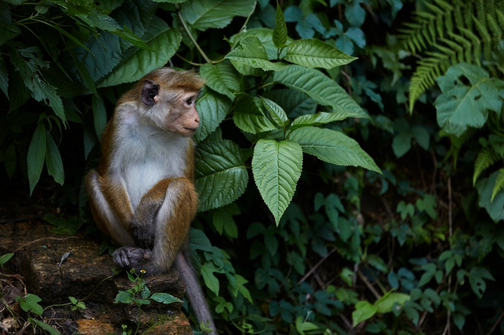 wagtailgirlsannakern_I06A3884