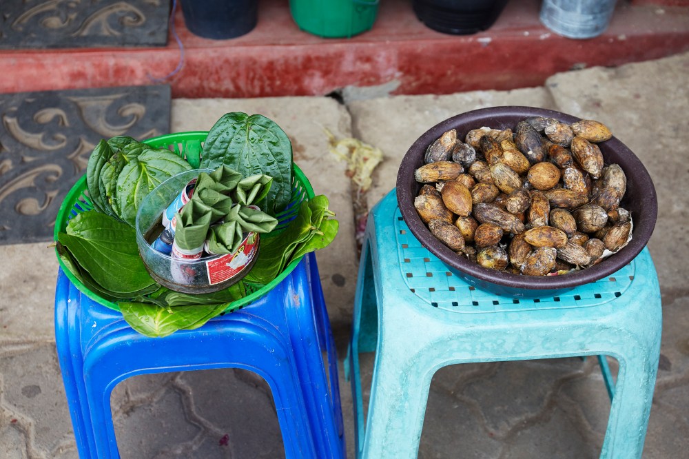 wagtailgirlsannakern_I06A4622