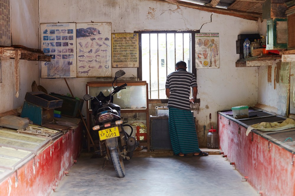 wagtailgirlsannakern_I06A5698