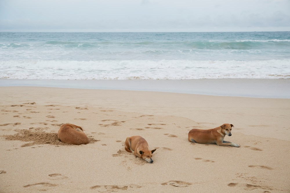 wagtailgirlsannakern_I06A6295