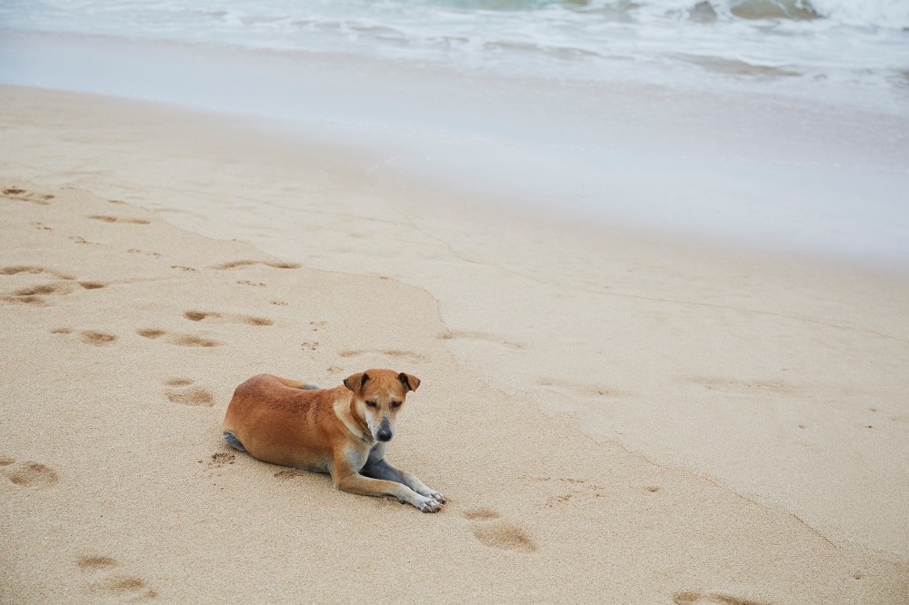 wagtailgirlsannakern_I06A6297