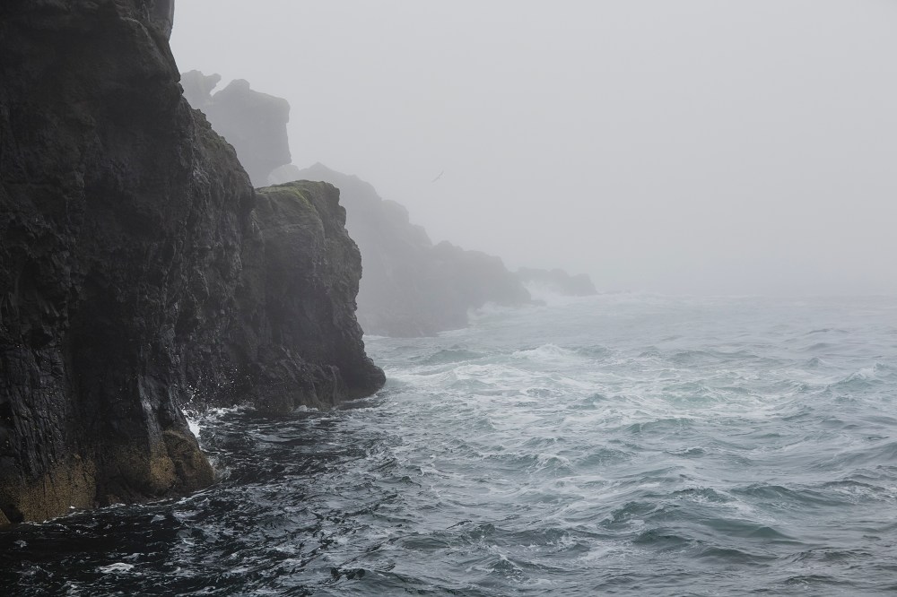 wagtailgirlsannakern_I06A6386