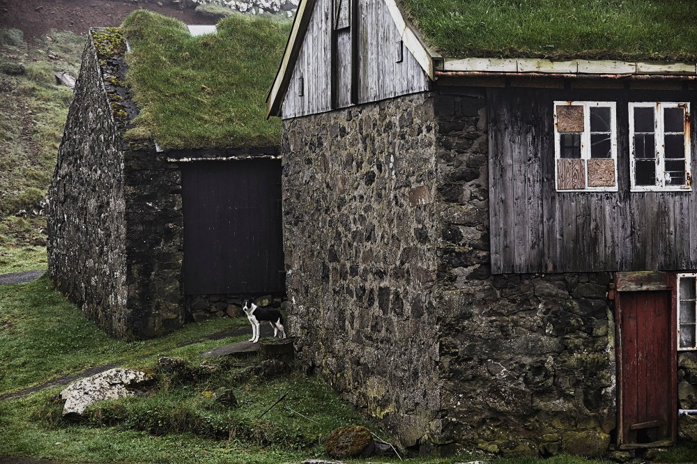 wagtailgirlsannakern_I06A6483