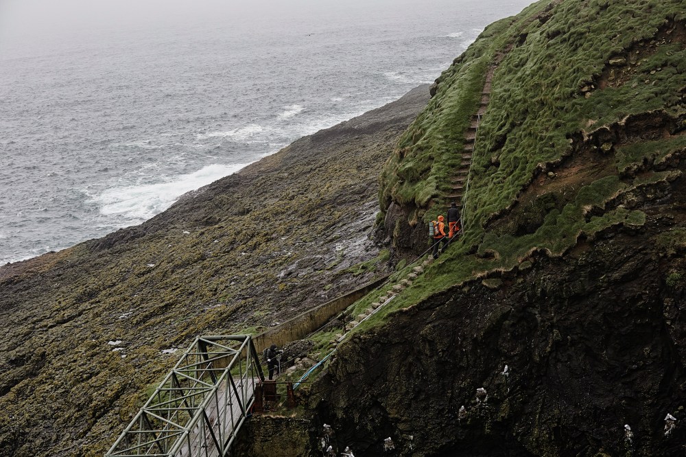 wagtailgirlsannakern_I06A6615