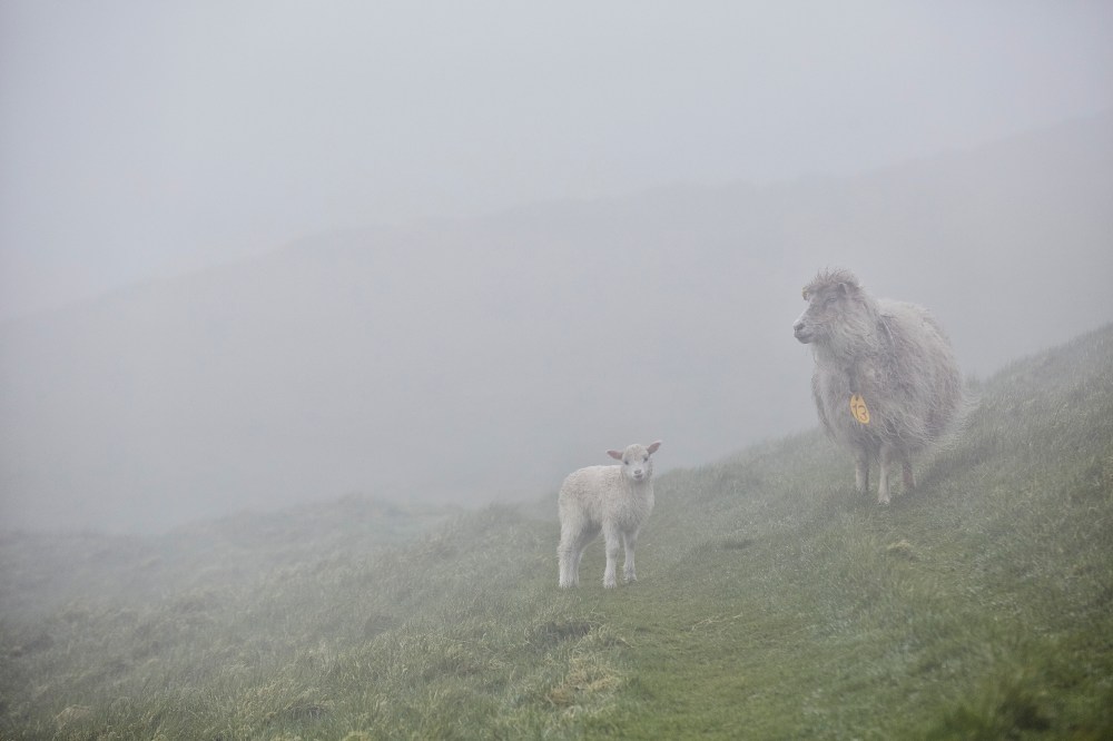 wagtailgirlsannakern_I06A6652