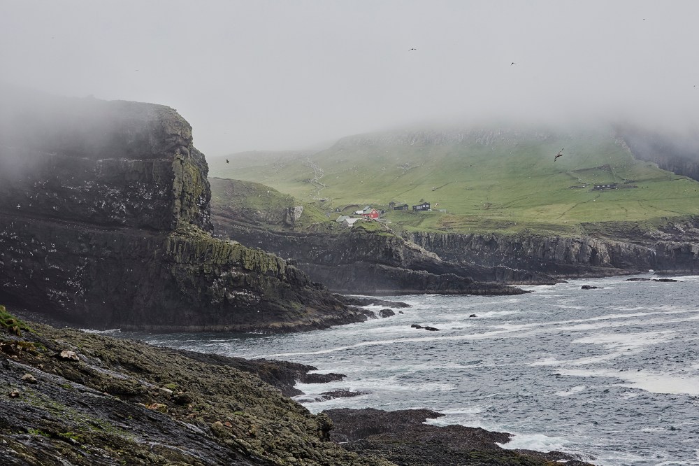 wagtailgirlsannakern_I06A6701