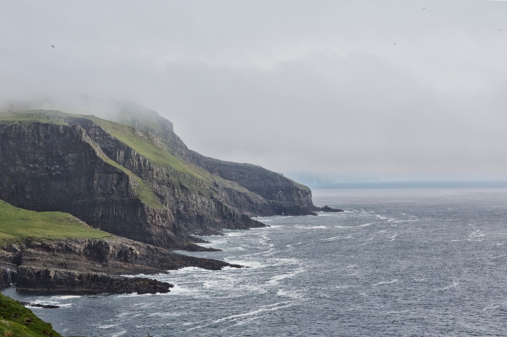 wagtailgirlsannakern_I06A6981