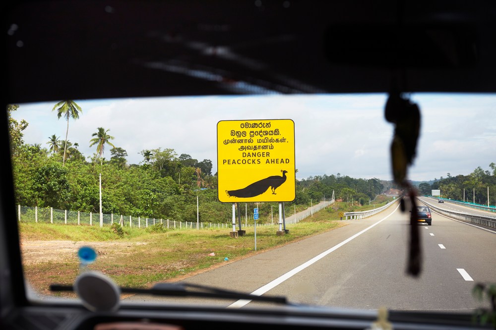 wagtailgirlsannakern_I06A7139