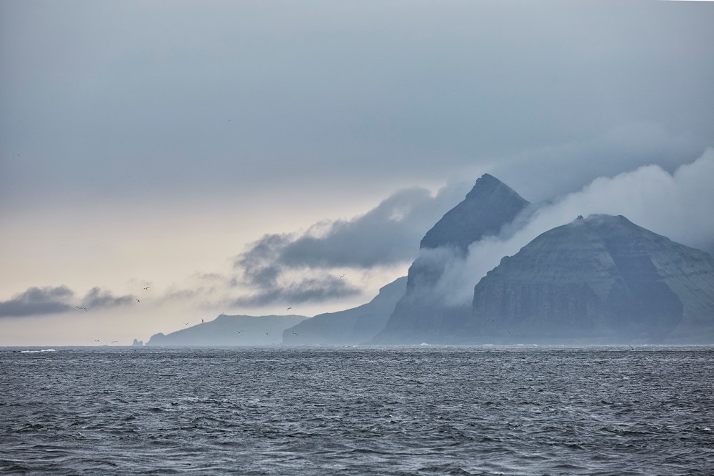 wagtailgirlsannakern_I06A7140