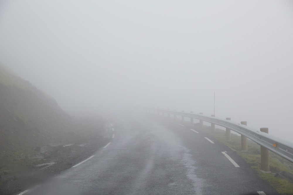 wagtailgirlsannakern_I06A7516