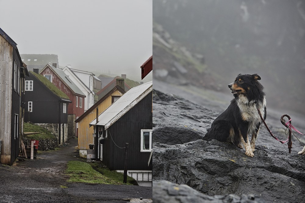 wagtailgirlsannakern_mykines